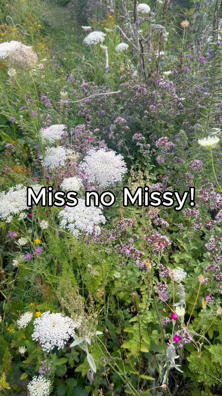 Hast du schon ein Missy-Abo? Nein? Na dann aber schnell. Wenn du auf unserer Web…